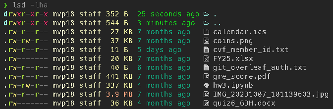 lsd directory listing with icons and colors
